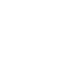 Eagles Wings Logo white